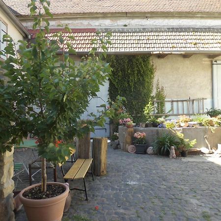 Gaestezimmer Mittelgasse Florsheim-Dalsheim 외부 사진